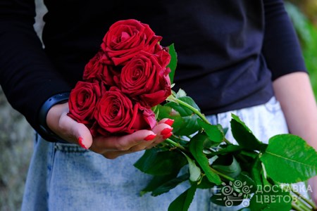 Букет из 5 красных роз "Ред Наоми"